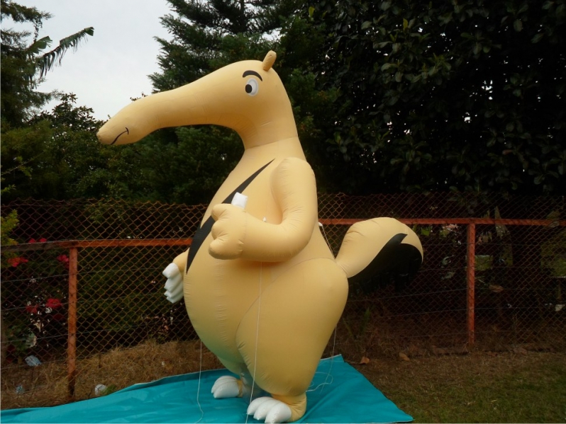 Inflável Gigante para Eventos no Parque São Rafael - Infláveis para Festas