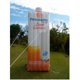 fabricante de infláveis promocionais Imirim