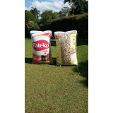 inflável promocional para divulgação de marca
